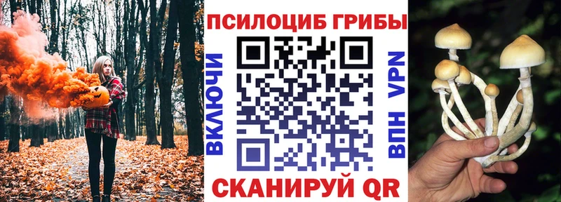 Псилоцибиновые грибы GOLDEN TEACHER Нижняя Салда